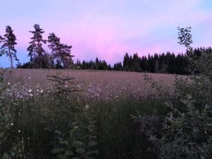 Maison dhôtes paisible avec petit-déjeuner près de la forêt - FR-1-582-509