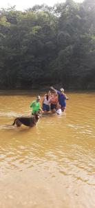 Cabaña Raíces del Bosque