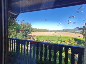 Chambre spacieuse avec balcon et accès piscine chauffée - FR-1-589-701