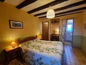 Chambres d'hôtes avec salle de jeux en Berry - FR-1-591-694 - Saulnay