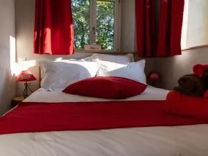 Chambre Jonquille avec entrée privée et animaux admis - FR-1-589-718 - Dommartin-lès-Remiremont