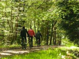 Appartement lumineux 4* pour 2 à Vittel, proche thermes, WiFi, parking gratuit - FR-1-589-745