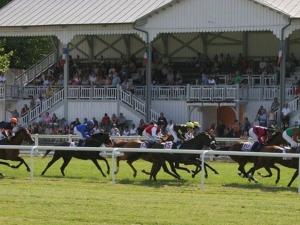 Appartement lumineux 4* pour 2 à Vittel, proche thermes, WiFi, parking gratuit - FR-1-589-745