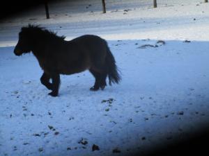 Maison familiale avec cheminée, jardin et WiFi à Esley, Vosges - FR-1-589-743
