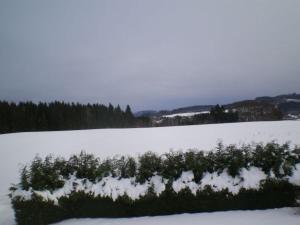 Chambre spacieuse avec piscine, spa et hammam - FR-1-589-721