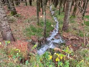 Chambres d'hôtes confortables en montagne avec animaux admis - FR-1-589-734 - 科尔尼蒙