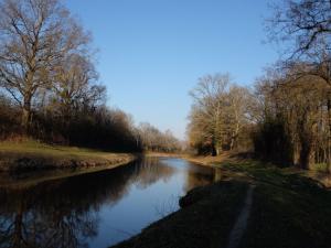 B&B / Chambres d'hotes Chambre spacieuse, entree privee, animaux admis, WiFi - FR-1-590-513 : photos des chambres