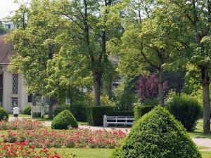 Appartements Appartement lumineux 4* pour 2 a Vittel, proche thermes, WiFi, parking gratuit - FR-1-589-745 : photos des chambres