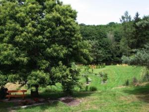 B&B / Chambres d'hotes Chambre Printaniere avec Parc et Activites en Nature - FR-1-589-722 : photos des chambres
