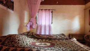 Orchha Village Stay