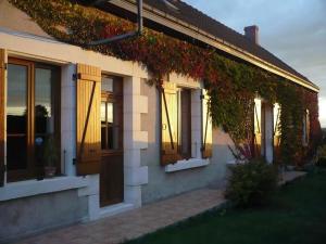 B&B / Chambres d'hotes Chambres d-hotes au calme pres des chateaux de la Loire - FR-1-591-664 : photos des chambres