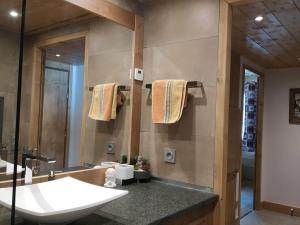 Appartements Appartement luxueux 3 pieces, spa prive, skis aux pieds - FR-1-810-21 : photos des chambres