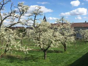 B&B / Chambres d'hotes Chambres spacieuses avec salle d-eau, salon cheminee, jardin detente - Lorraine - FR-1-585-143 :  Chambre Double