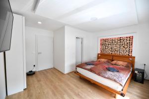 CASA BOX PREMIUM free garage