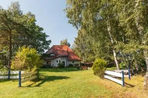 Willa SASINO - 萨希诺