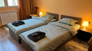 Quiet 2 bedrooms downtown apart