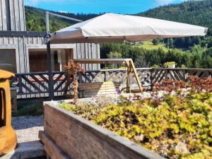 B&B / Chambres d'hotes Charmantes chambres d-hotes en montagne, animaux admis sur accord - FR-1-589-729 : photos des chambres