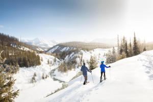 Blacktail Mountain Suites Remote Work Ready