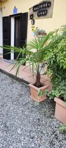 Malpensa Guest - 维佐拉提契诺