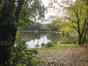 Rustikale Wanderhütte am Angelteich - Wirschweiler
