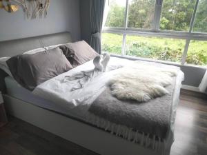 New condo#5 minutes to Central Festival Hatyai