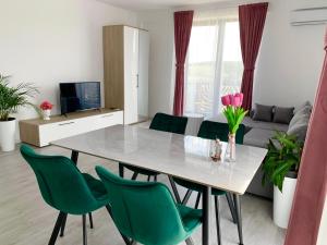 Apartament Denisa Baile Felix