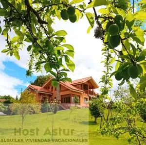 FINCA LOS MANZANOS Oviedo, zona Campo Futbol a 10minutos centro - Caces