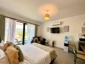The Olive Beachfront Apartment - Kalogrea