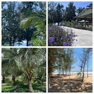 AN THINH Hotel & Homestay