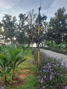 AN THINH Hotel & Homestay