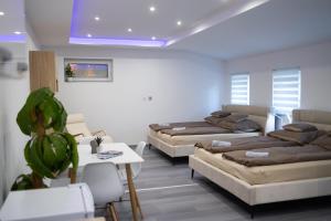 Főnix Apartman Loft