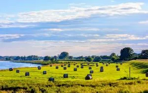 FeWo Elbtalaue - Kumlosen