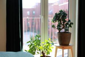 Stilvolle EXPO Unterkunft Hannover