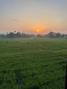 Polaris- Kurunegala