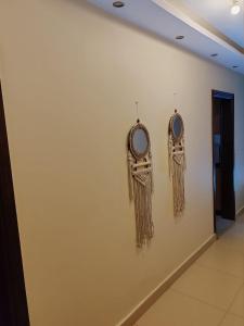 طيبة جاردنز أكتوبر