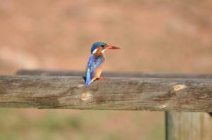 Watermill Farm Cottages