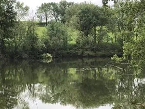 domaine en castanet - Caraman