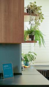 Aozora Central Studio