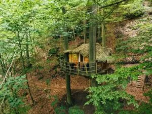Treehouse Trenčianske Teplice - Omšenie