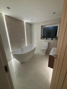 Modern house in the countryside