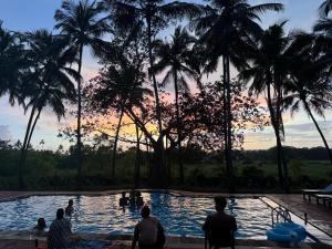 Seclude Eco Cottages