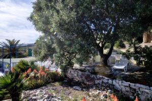 House Paradiso