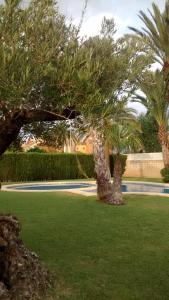 La terracita de Dénia