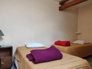 Maisons de vacances Gites de groupe a Richelieu : photos des chambres