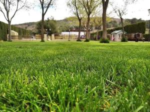 Chalet con piscina