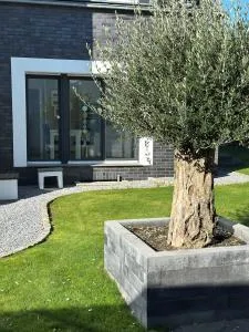 Ferienwohnung Forstblick - Donsbrüggen