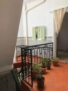 La maison des oiseaux - 'Aïn Temouchent