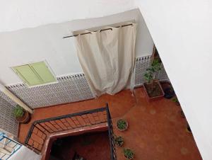 La maison des oiseaux