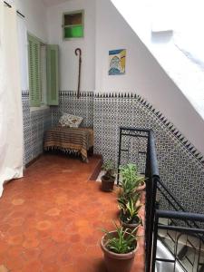 La maison des oiseaux