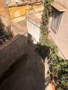 La maison des oiseaux